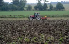 Kiedyś rolnicy wylewali ją na pola, dziś jest hitem sprzedaży