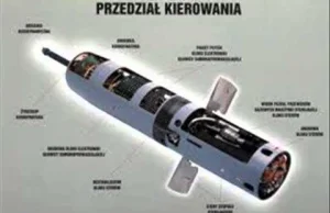 Polskie rakiety mają być lepsze i nowocześniejsze od amerykańskiego Stingera