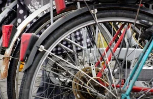 „DGP”: Karta rowerowa obowiązkowa także dla dorosłych