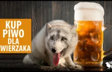 Pierwsza edycja akcji ,,Kup piwo dla zwierzaka''. Kup piwo i pomóż...