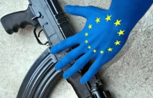 Polska i Czechy nie implementowały unijnej dyrektywy o broni w terminie, z...
