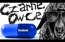 O gnoju na Facebooku, dawcach nerek i syfie w sklepach [CZARNE OWCE] sesja...