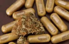 Legalne tabletki z THC już w przygotowaniu