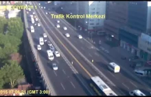 Kobieta nie chciała potrącić mewy i spowodowała kraksę na autostradzie