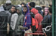 Austriackie MSW chce płacić uchodźcom za powrót do swoich krajów