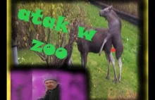 Atak na Jana Ł w ZOO - Nowa jakość...