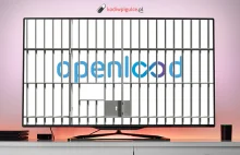 OpenLoad, Streamango nie działa. Serwisy zamknięte w ramach ugody antypirackiej