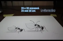 2D и 3D муравей. 2D and 3D ant. BODACOMICS