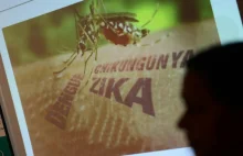 Jak uchronić się przed wirusem Zika? Są sposoby
