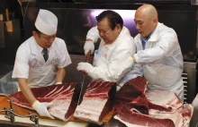 Cena zwala z nóg. Japończyk kupił tuńczyka wartego 11,5 mln złotych