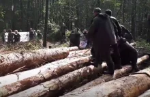 Kłamstwa ekoterrorystów z Puszczy Białowieskiej zdemaskowane! To WIDEO...