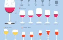 Wszystkie typy kieliszków do wina