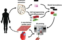 Wydrukowano w 3D pierwsze unaczynione serce zawierające komórki pacjenta