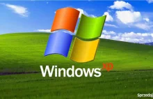 Microsoft się poddał: jednak będą aktualizacje dla Windows XP