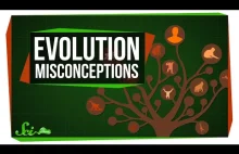 Popularne mity dotyczące ewolucji [ENG]