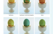 Ozdoby wielkanocne: Farbowanie i zdobienie jajek