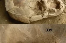 W Ekwadorze odkryto niemowlęta pochowane 2100 lat temu w hełmach z czaszek