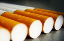 Miliardy idą z dymem, czyli jak wygląda handel lewymi papierosami