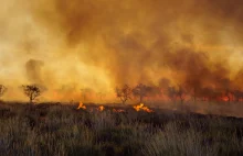 Australii grozi klęska. Gigantyczne pożary zniszczyły już 850 tys....