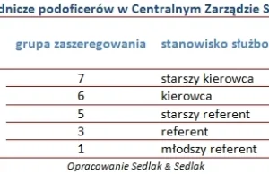 Zarobki funkcjonariuszy służby więziennej - ile zarabiają w Polsce