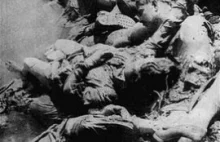 Jasenovac – „Auschwitz Bałkanów”