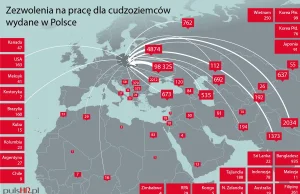 Związek pracodawców chce sprowadzić ponad 10 milionów imigrantów do 2050 roku