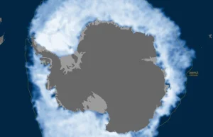 Klimatyczni sceptycy zacierają ręce: wokół Antarktydy rośnie lodowy...