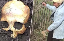 60-latek wykopał ludzką czaszkę na ogródku.