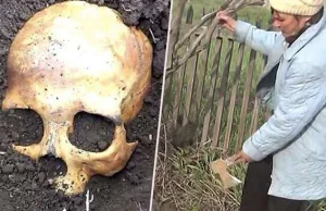 60-latek wykopał ludzką czaszkę na ogródku.
