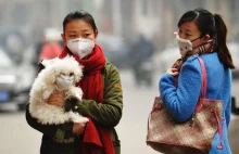 The Lancet: Zanieczyszczenie środowiska zabija corocznie 9 mln ludzi