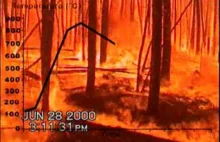 Tak szybko rozprzestrzenia się pożar w lesie