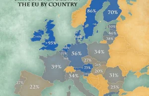 Odsetek populacji potrafiących prowadzić rozmowę po angielsku