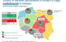 Praca w 2013 roku: oto plany polskich pracodawców