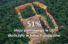 Kierowcy muszą spalić więcej lasów deszczowych, aby spełnić cele UE dla...