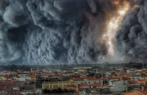 Apokaliptyczne pożary lasów w Portugalii. Zginęło aż 41 osób, ogłoszono...