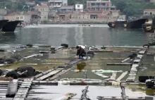 Wyciek siedmiu ton chemikaliów do morza w chińskim porcie