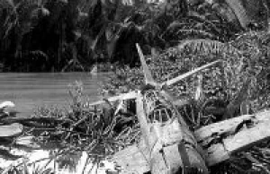 Hiperrealistyczna diorama - zestrzelony wrak w dżunglii