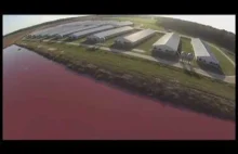 Przelot dronem nad "fabryką" mięsa [ENG]