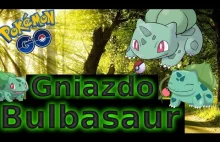 Gniazdo Bulbasaur [Pokemon Go