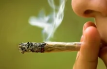 Marihuana naprawdę pomaga? Doktor nauk medycznych rozwiewa mity.