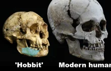 Naukowcy odnaleźli szczątki "Hobbita" sprzed 700 000 tys. lat [ENG].