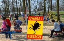 Nadciąga plaga kleszczy. Zagrożone nawet place zabaw!