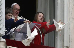 Papież wypuszcza gołębie pokoju. Natychmiast atakują je inne ptaki