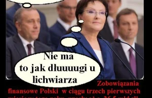 OKKW stop fałszerzom: Długi Kopacz - 26,5 miliarda w 3 miesiące