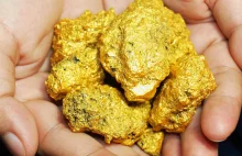 Podczas spaceru odkrył złoto warte 93 tys. zł. Znalezisko ważył w markecie