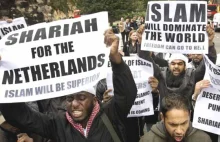 80% młodych holenderskich Turków popiera dżihad