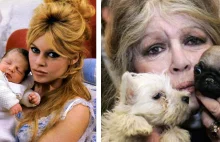 "Wolałabym urodzić szczeniaka niż dziecko". Brigitte Bardot porzuciła...
