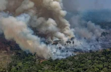 Pożary w Amazonii: Brazylia odrzuca pomoc G7