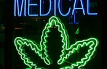 Podziemie nadziei, czyli walka o medyczną marihuanę.Projekt filmu dokumentalnego