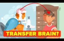Dlaczego nie możemy przeszczepić mózgu?
